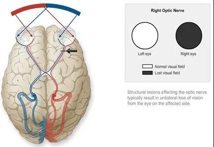 888电子集团登录