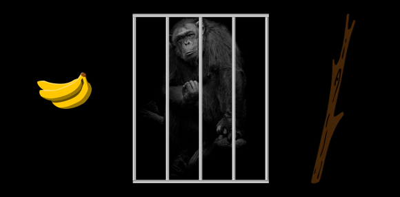 888电子集团登录