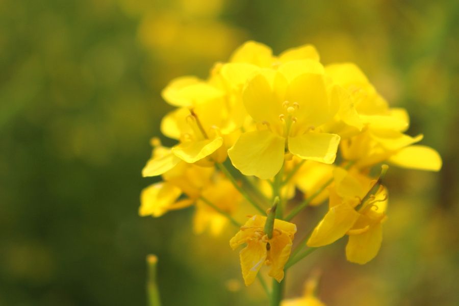 888电子集团登录