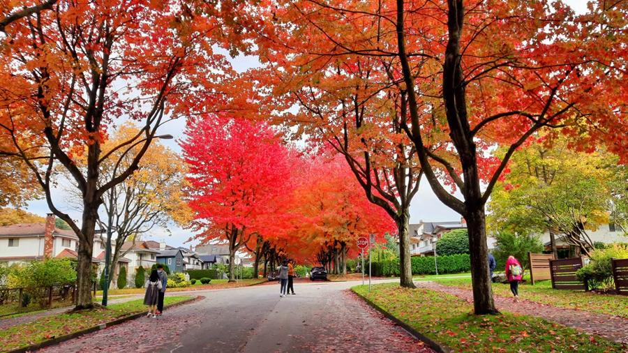 888电子集团登录