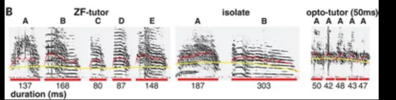 888电子集团登录