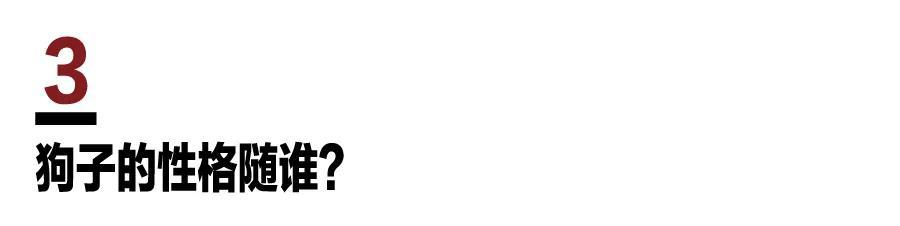 888电子集团登录