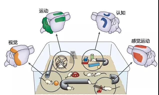 888电子集团登录