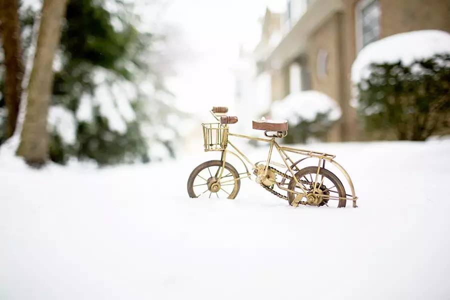 888电子集团登录