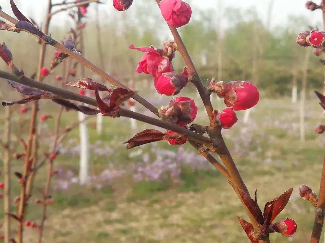 888电子集团登录