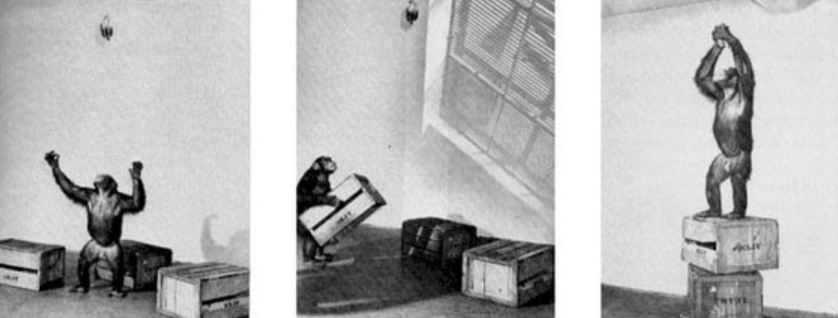 888电子集团登录