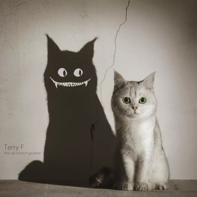 888电子集团登录