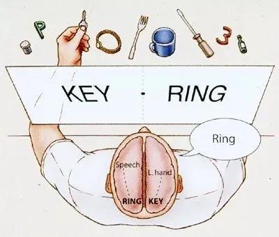 888电子集团登录