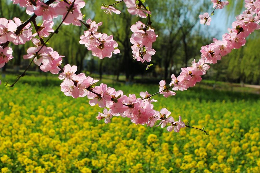 888电子集团登录