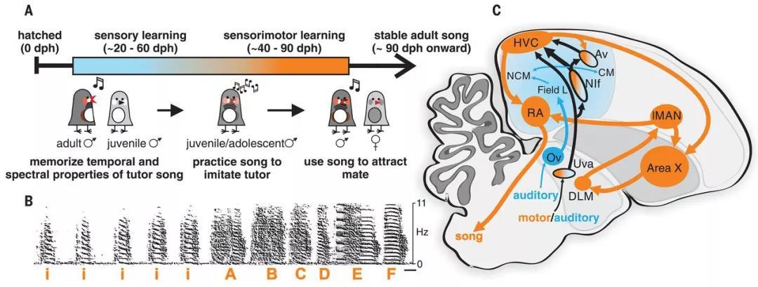 888电子集团登录