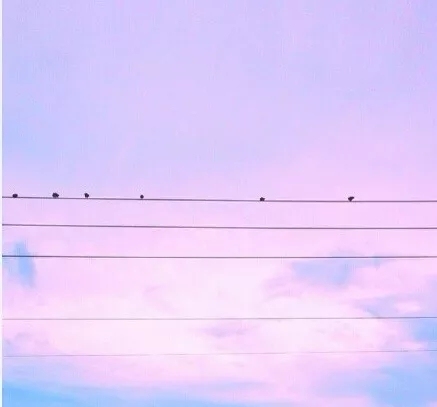 888电子集团登录