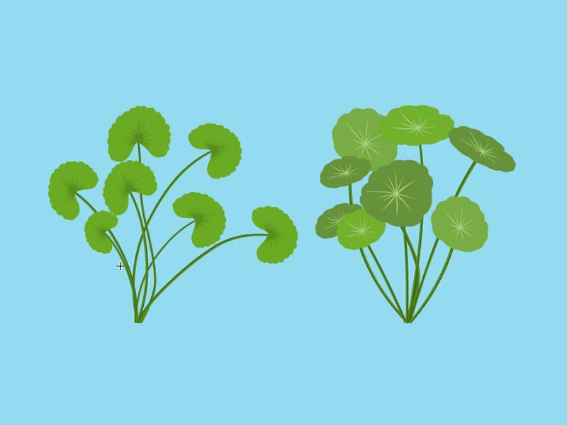 888电子集团登录