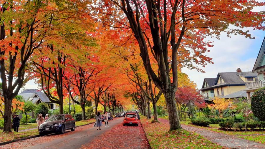 888电子集团登录