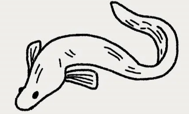 888电子集团登录