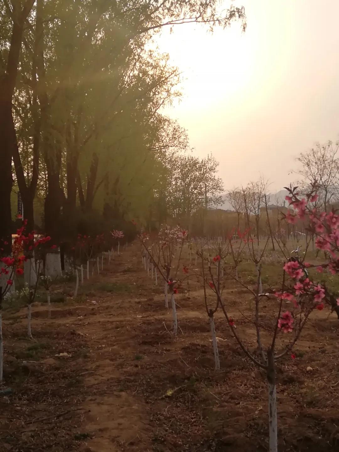 888电子集团登录