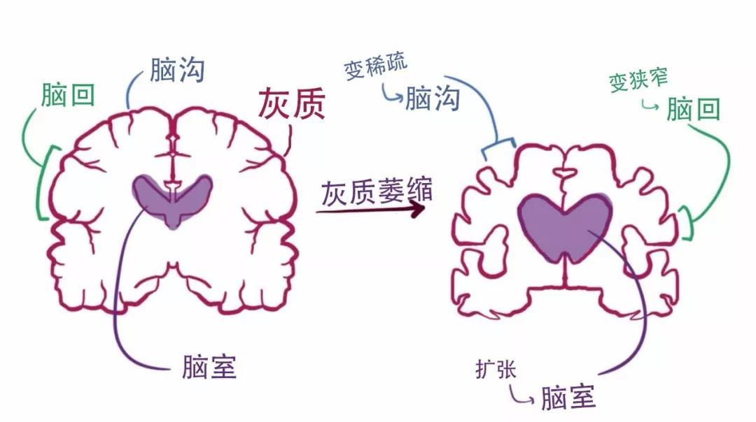 888电子集团登录