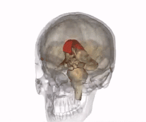 888电子集团登录