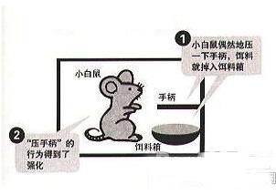 888电子集团登录