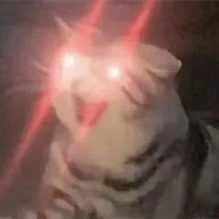 888电子集团登录