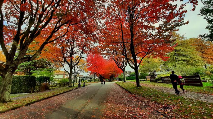 888电子集团登录