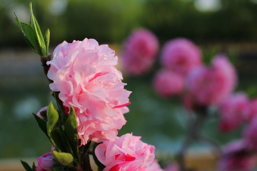 888电子集团登录