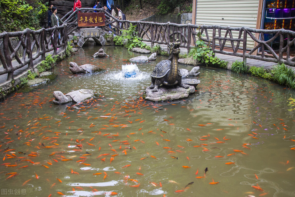 888电子集团登录