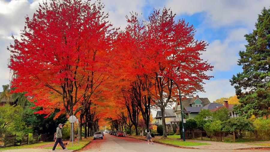 888电子集团登录