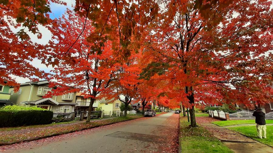 888电子集团登录