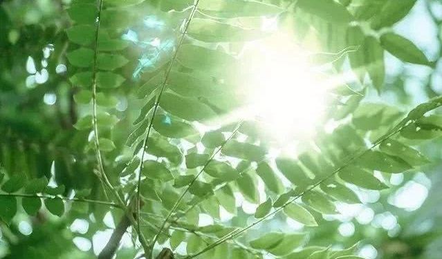 888电子集团登录