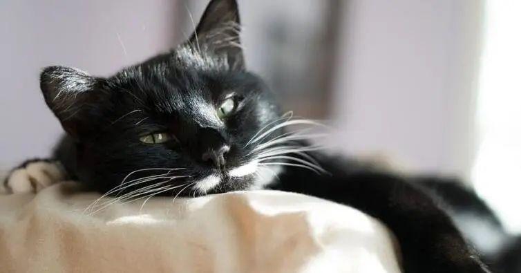 888电子集团登录