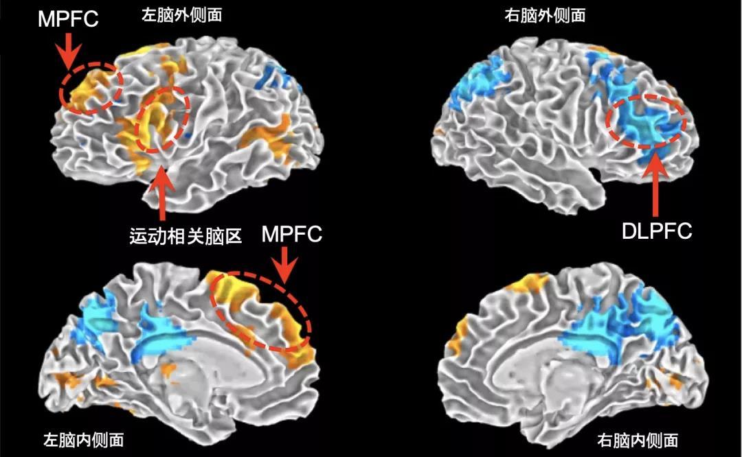 888电子集团登录