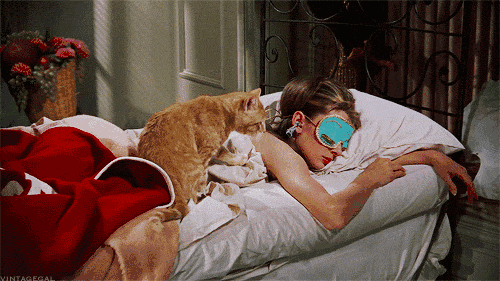 888电子集团登录