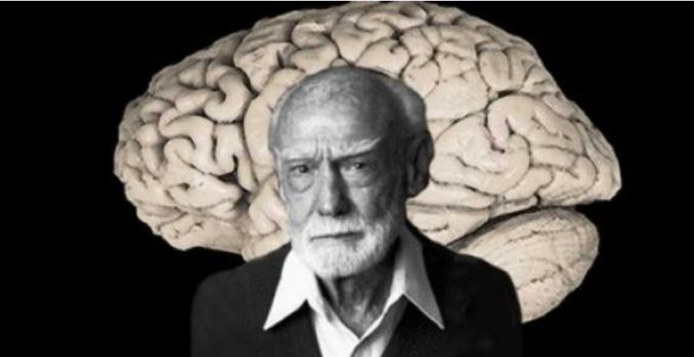 888电子集团登录