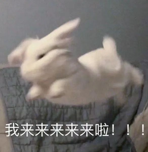 888电子集团登录