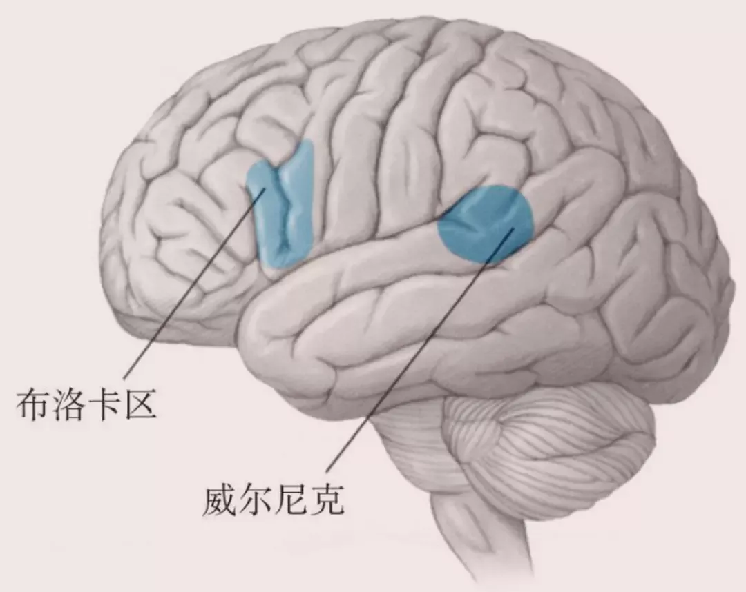 888电子集团登录