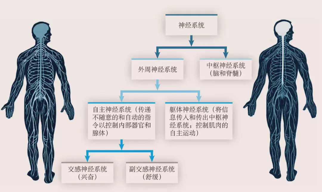 888电子集团登录