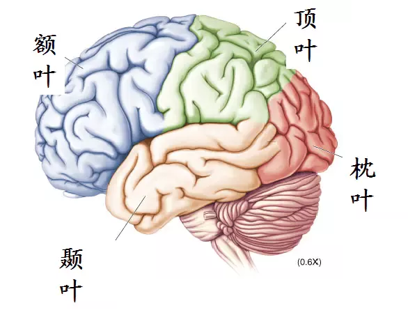 888电子集团登录