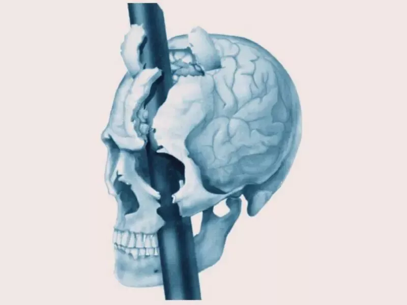 888电子集团登录