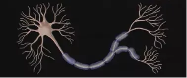 888电子集团登录